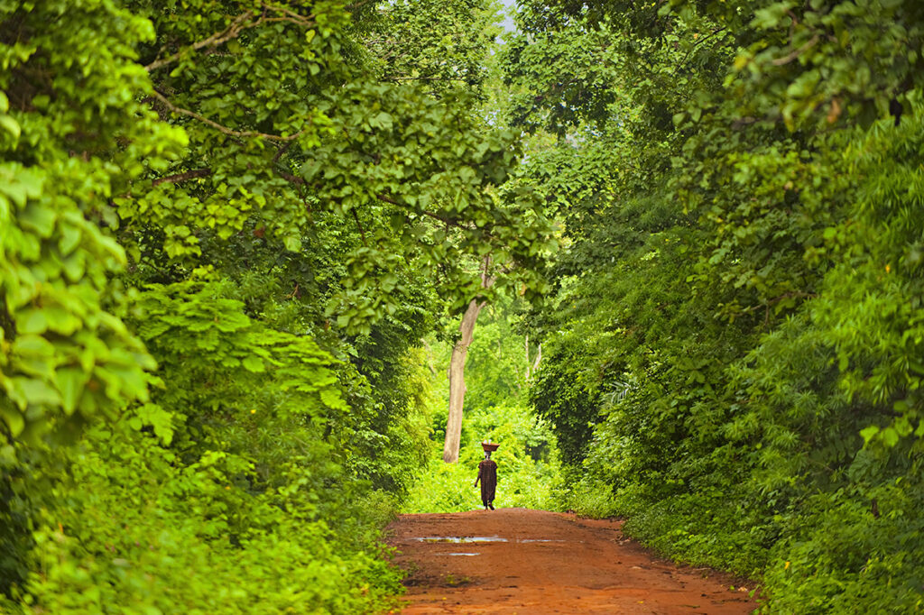 Woman walking through forest, Boabeng-Fiema Monkey Sanctuary, Ghana